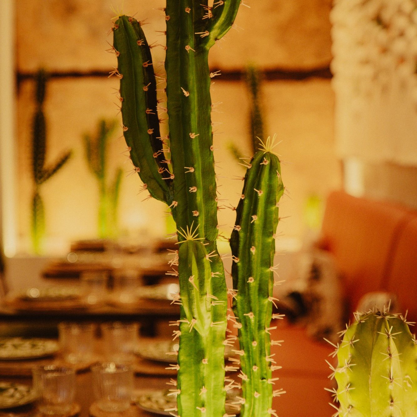 Nuestra inspiración mas mexicana en Casa Milpa viene de sus paisajes. Detalle de un cactus, uno de los elementos decorativos característicos de Casa Milpa.